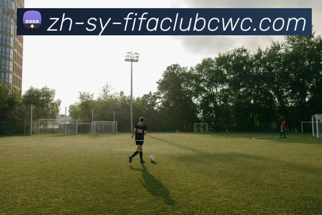 世界杯平台服务体系