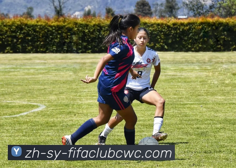 世界杯平台APP 体育赛事宣传图